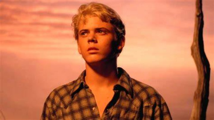 10 Fascinating Facts About Ponyboy from The Outsiders