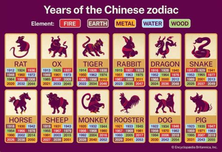 1984 Chinese Zodiac Element: Discover Your Hidden Traits and Fortunes
