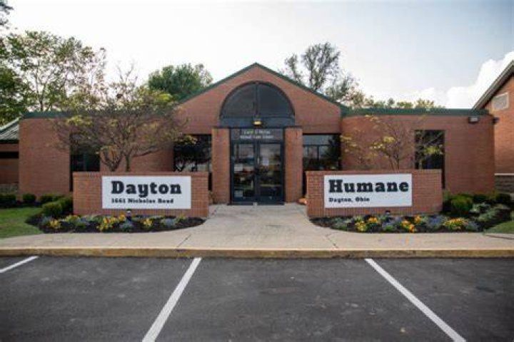 Adopt Your Perfect Companion at the Humane Society of Greater Dayton Adoption Center