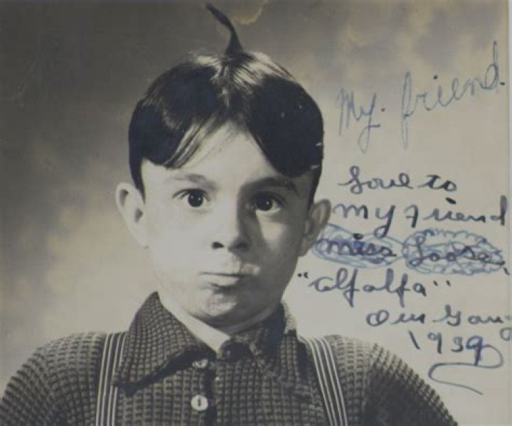 Alfalfa from The Little Rascals: A Comprehensive Look at the Iconic Character