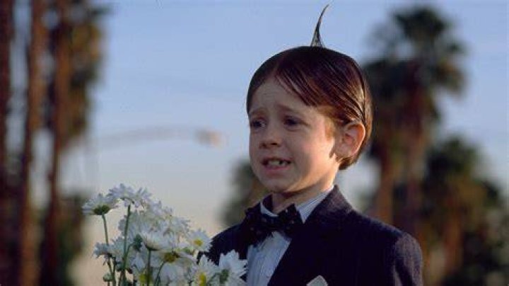 Alfalfa in The Little Rascals: A Comprehensive Look at the Iconic Character