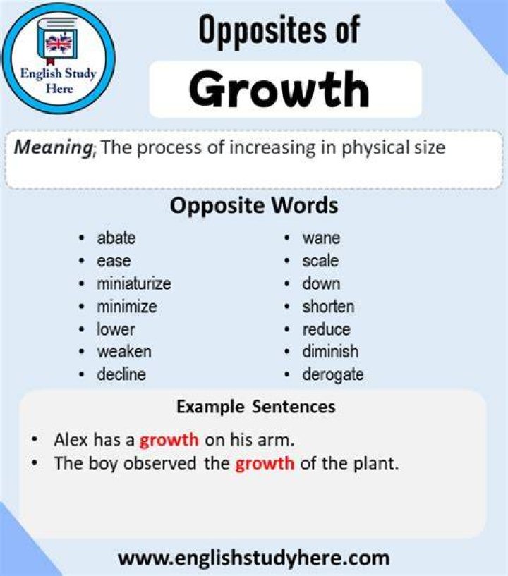 Antonym for Elevate: Exploring the Opposite of Growth and Advancement
