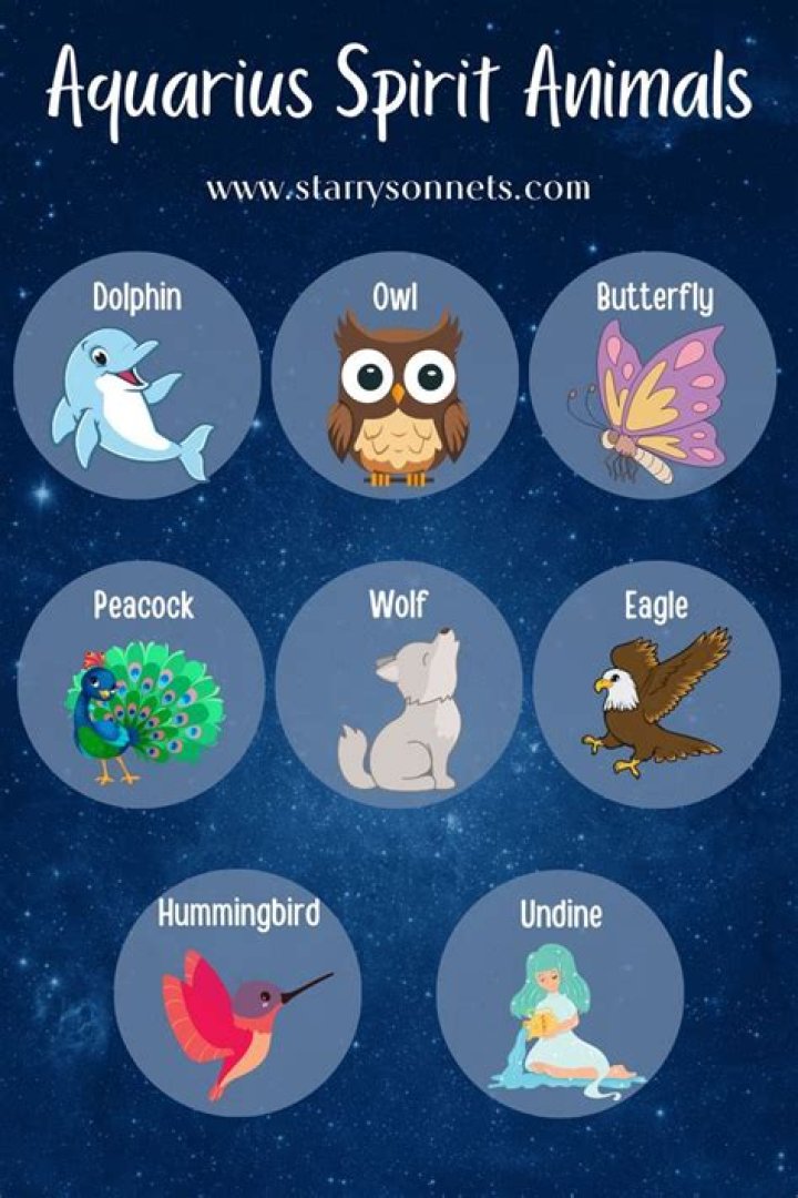 Aquarius Animal: Discover the Symbolic Meaning and Traits of Your Zodiac Spirit