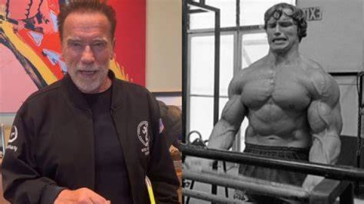 Arnold Schwarzenegger Age: The Iconic Journey of a Fitness Legend