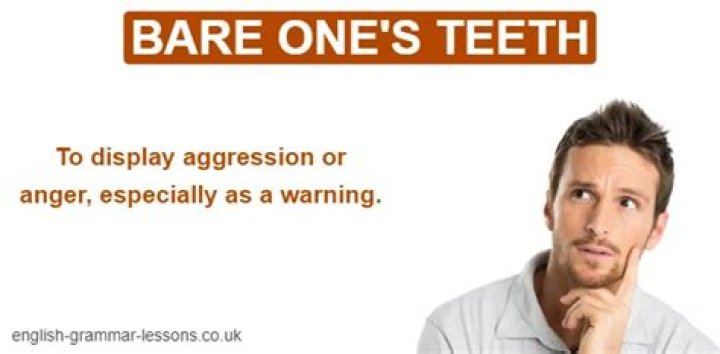 Bared His Teeth: A Comprehensive Exploration of the Phrase and Its Implications