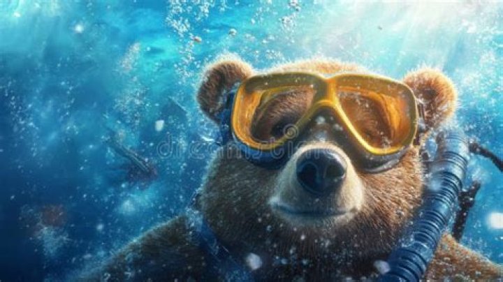 Bear Brown Relationships: Exploring the Depths of Connection in the Bear Community