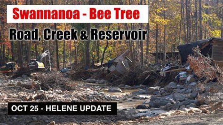 Bee Tree Dam: A Comprehensive Guide to Its Importance, Ecology, and Conservation