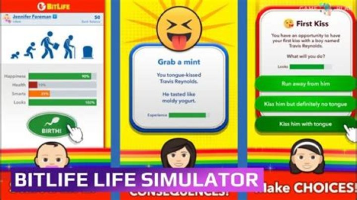 BitLife Model: A Comprehensive Guide to the Revolutionary Simulation Game