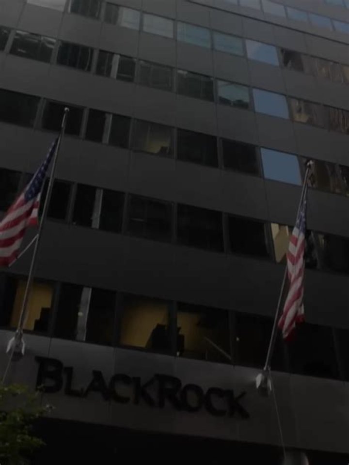 BlackRock Democrats: Exploring Their Influence on Modern Politics and Investment