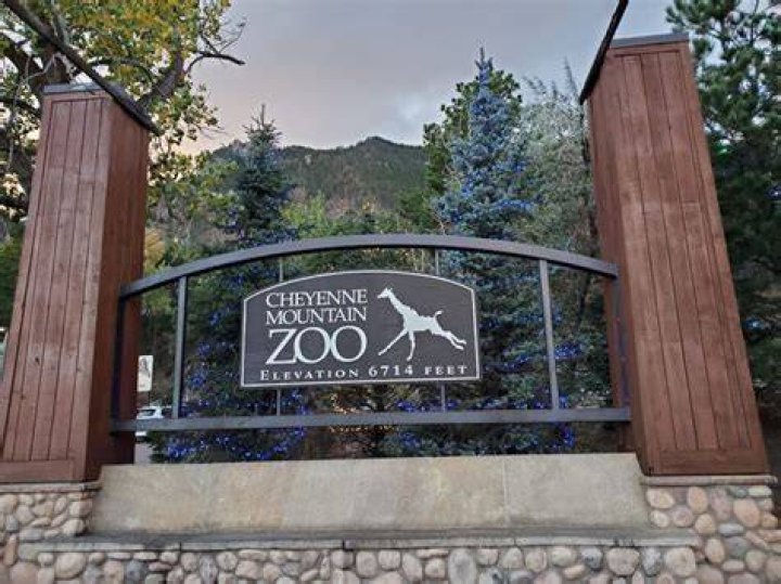 Boletos Para Cheyenne Mountain Zoo: Your Ultimate Guide to an Unforgettable Experience