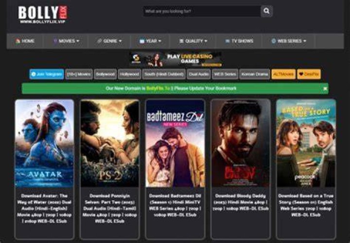 BollyFlix: Your Ultimate Guide to Streaming Bollywood Movies Online