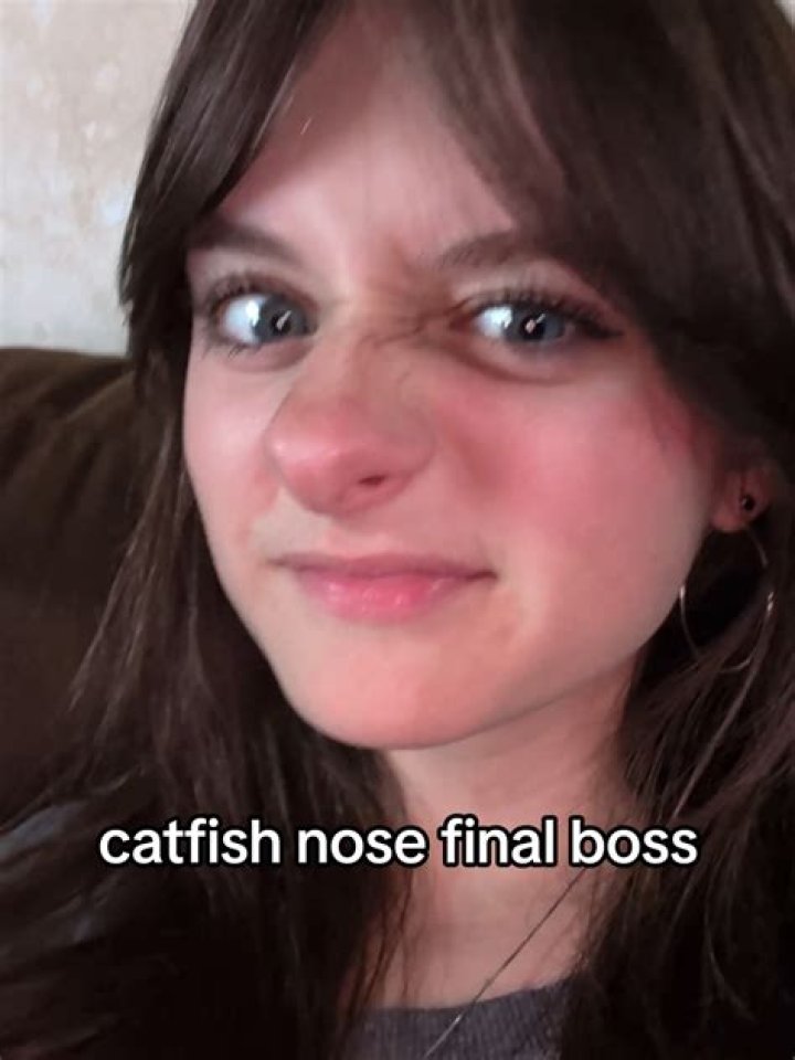 Catfish Gay: Understanding the Phenomenon and Its Impact