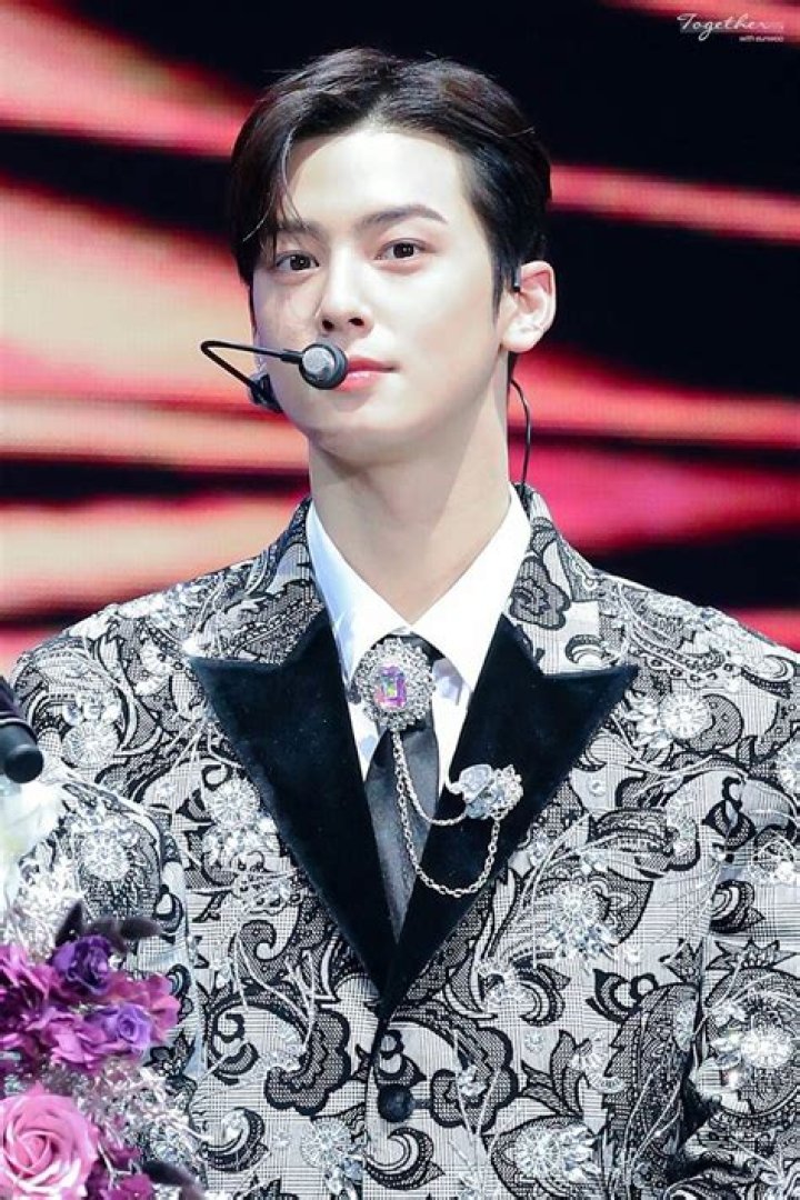 Cha Woo: The Rising Star in the Entertainment Industry