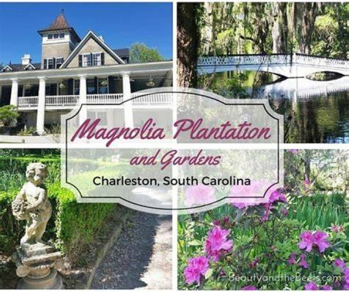 Charleston, South Carolina: Discover the Enchanting Beauty of Magnolia Plantation