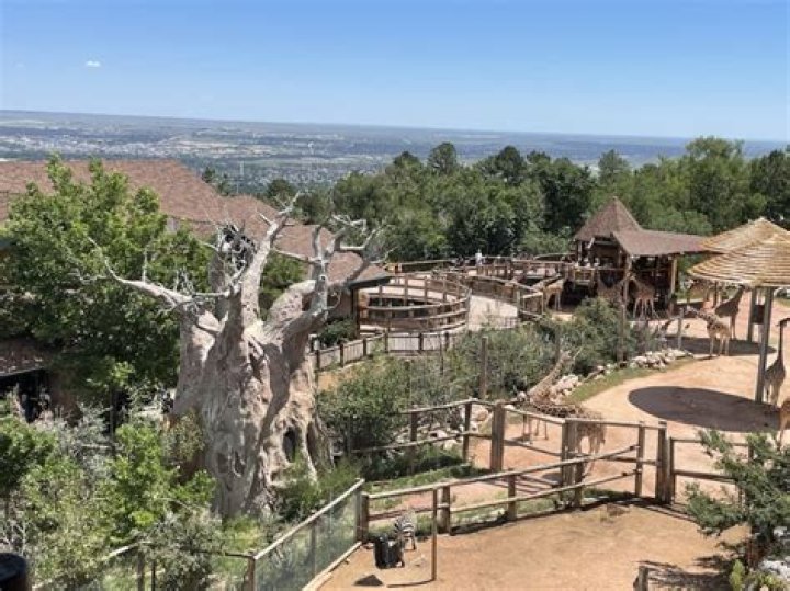 Cheyenne Zoo Tickets: Your Ultimate Guide to Exploring the Wonders of Nature