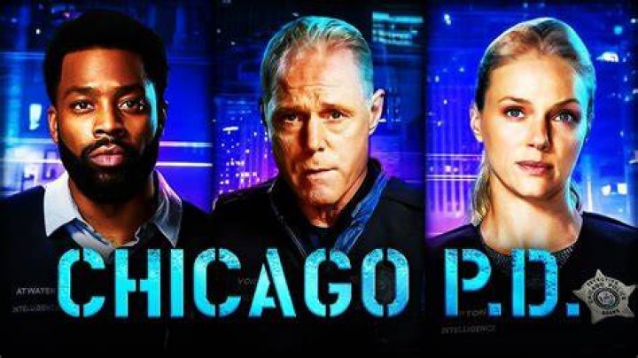 Chicago P.D.: Meet the Cast and Dive Into Their Characters