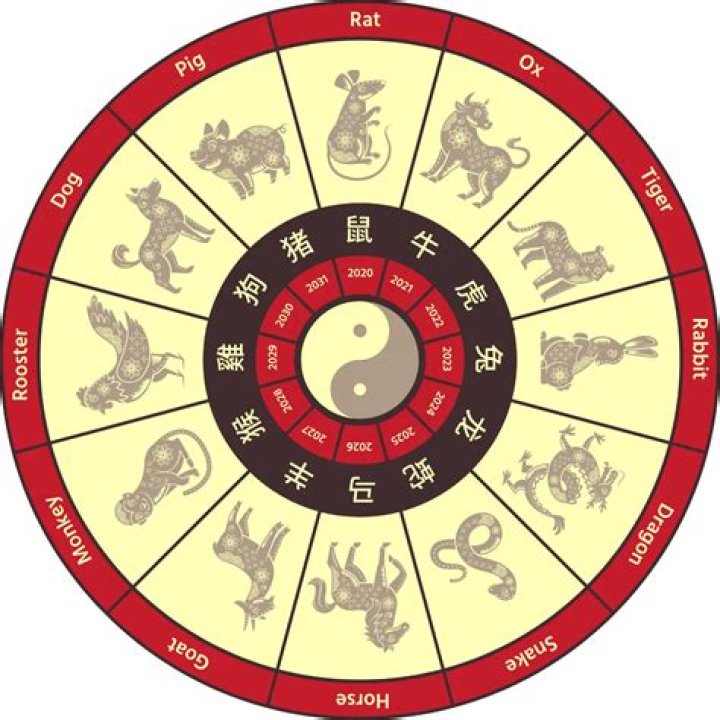 Chinese Zodiac in NYT: Understanding the Influence of Chinese Astrology in Modern Times