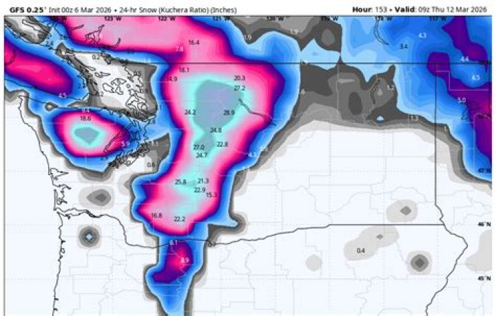 Cliff Mass Weather Forecast: Your Ultimate Guide to Understanding and Predicting Weather