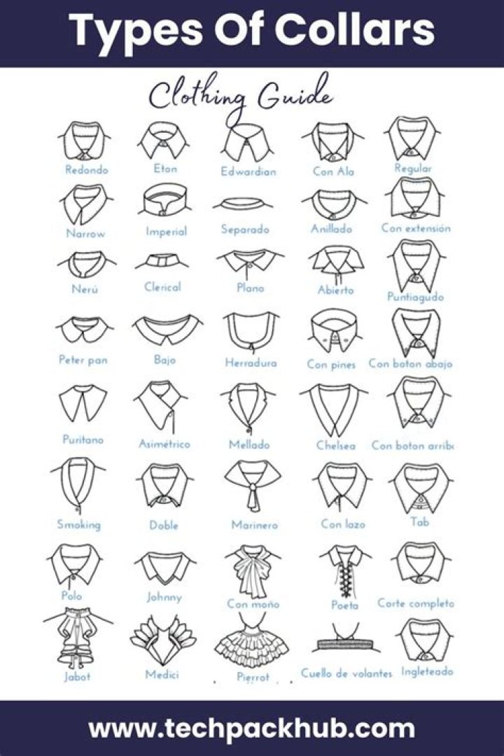 Collars and Co: Elevating Your Style with Premium Collars