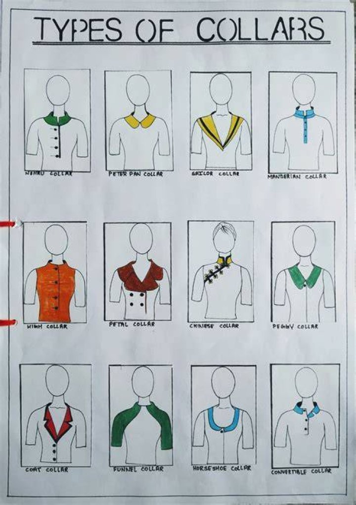 Collars &amp; Co: Your Ultimate Guide to Elegance and Style