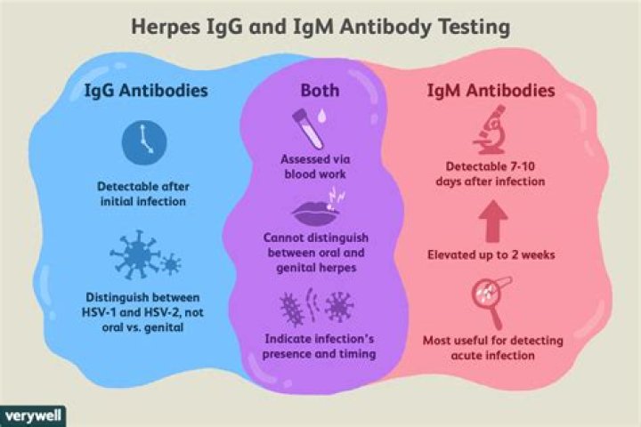 Comprehensive Guide to HSV 2 IGG Positive Treatment: Understanding, Managing, and Healing