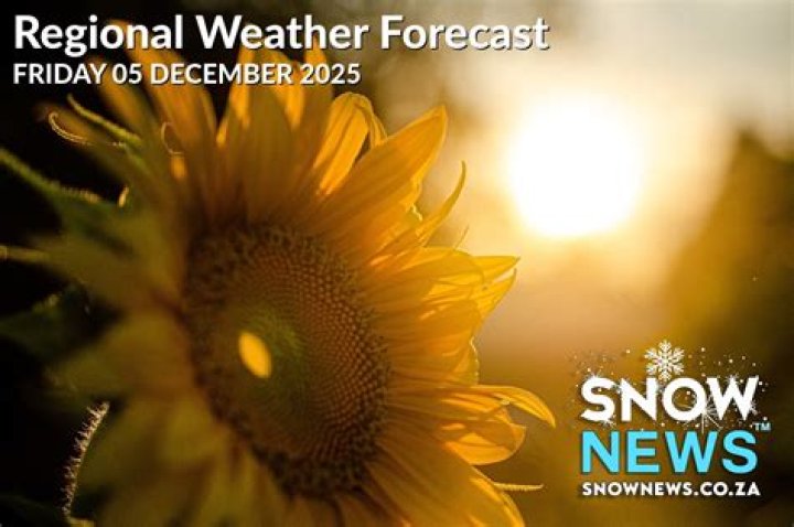Comprehensive Guide to Weather Forecast December NYC