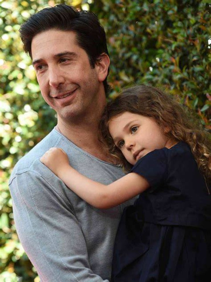 David Schwimmer Family: A Comprehensive Look into the Life and Legacy