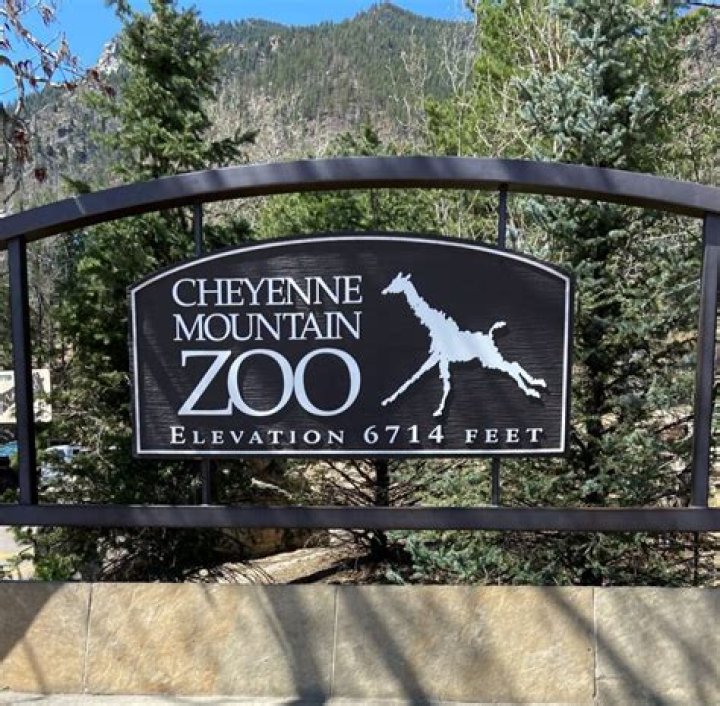 Discover the Best Cheyenne Mountain Zoo Deals: Your Ultimate Guide