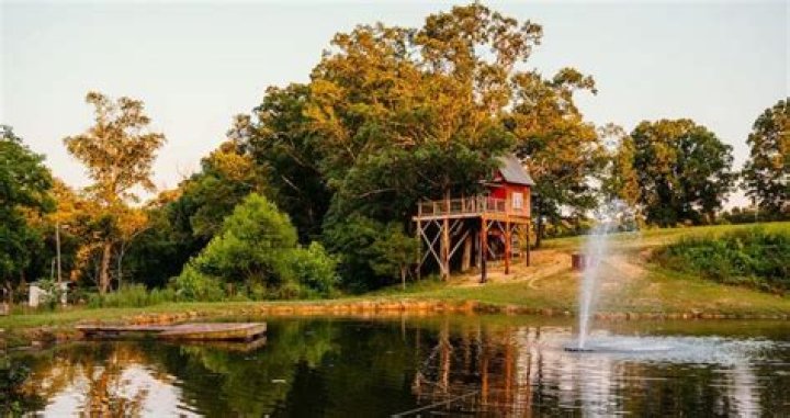 Discover the Enchanting Treehouse Vineyard in Monroe, North Carolina