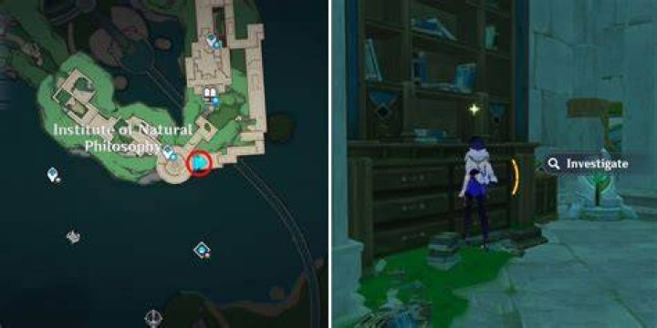 Discover the Enigmatic World of Bagheera: A Comprehensive Guide