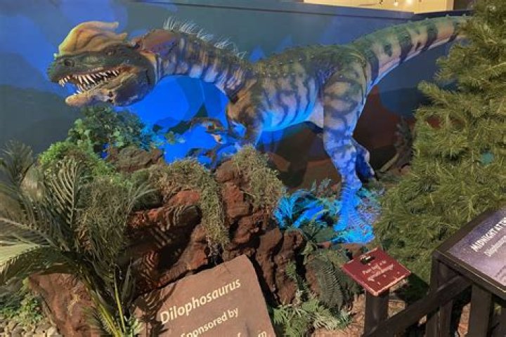 Discover the Fascinating World of the Dinosaur Museum in Fruita, CO