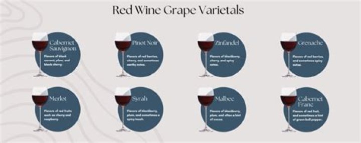 Discover the Origins of Red Wine: A Comprehensive Guide
