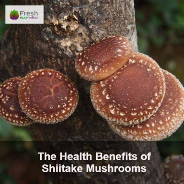 Discover the Remarkable Benefits of Shiitake Mushrooms for Your Health