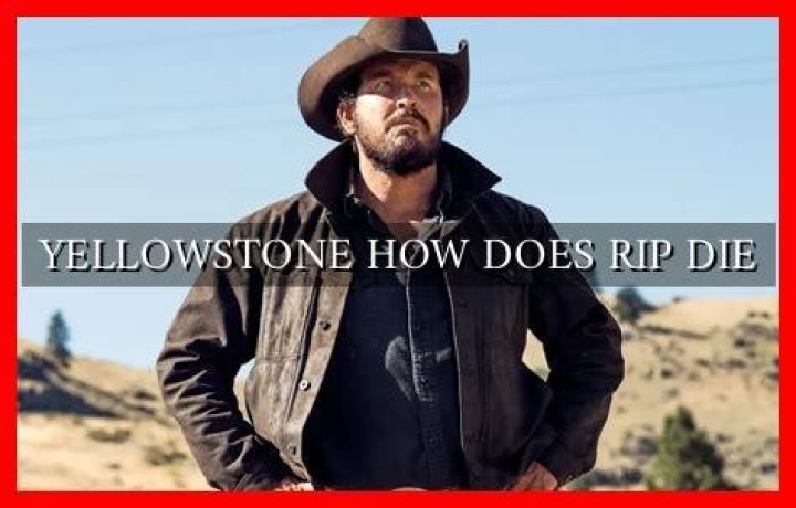 Does Rip Die in Yellowstone? Unveiling the Truth Behind the Popular Question