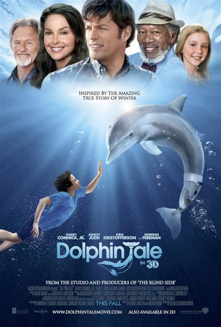 Dolphin Tale Cast: Exploring the Magical Journey of an Inspirational Movie