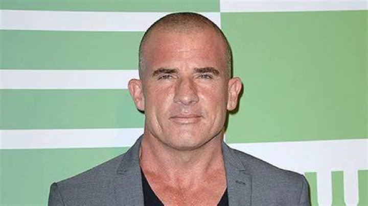 Dominic Purcell and TV Shows: A Comprehensive Exploration of His Career and Impact