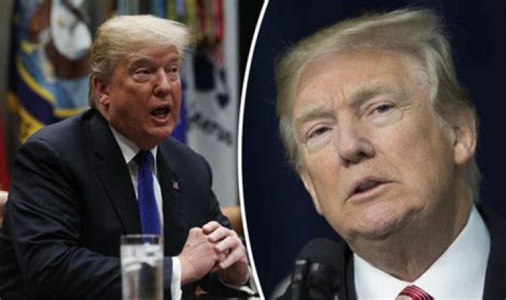 Donald Trump's Daily Routine: A Comprehensive Insight