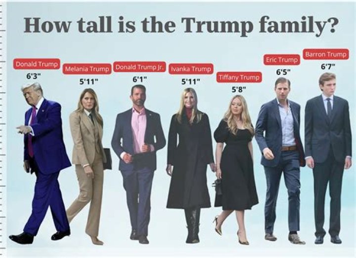 Donald Trump's Height in CM: A Comprehensive Overview