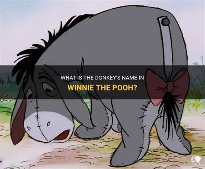 Donkey's Name in Winnie the Pooh: A Comprehensive Exploration