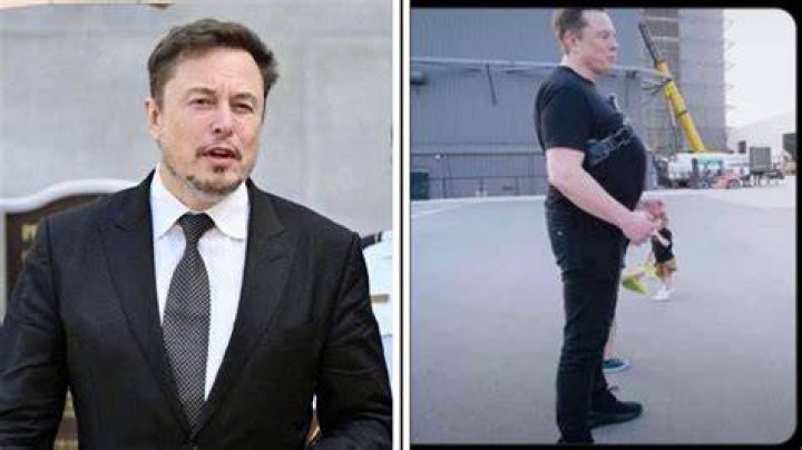 Elon Musk Bulge: Unveiling the Truth Behind the Viral Phenomenon