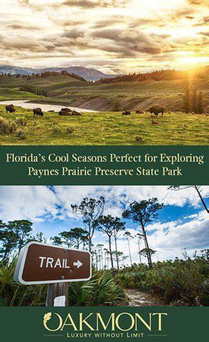 Exploring the Beauty of Paynes Prairie Preserve Florida