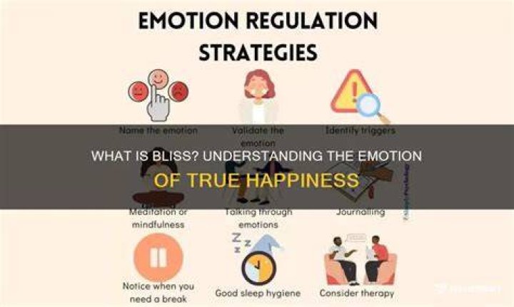 Exploring the Bliss Definition: Understanding True Happiness