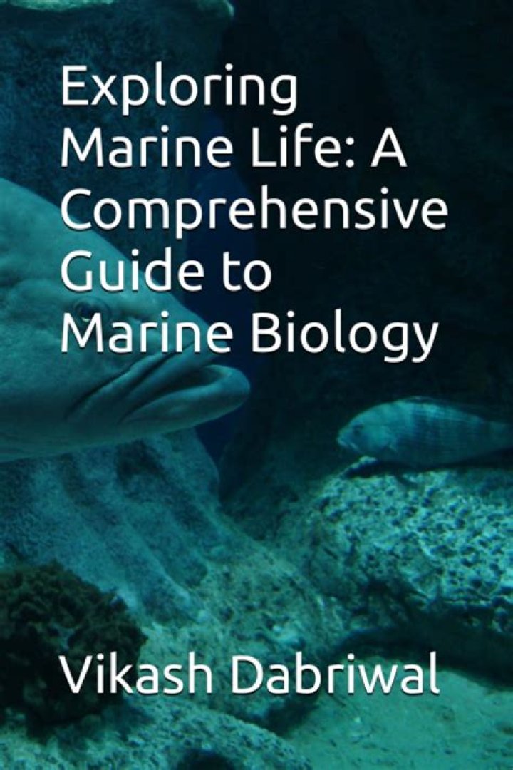 Exploring the Fascinating World of Harry Marine Life: A Comprehensive Dive
