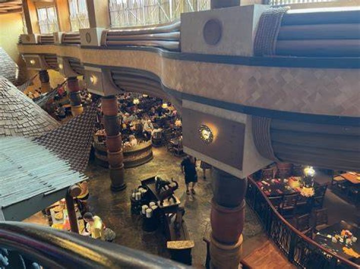 Exploring the Fascinating World of I Boma: A Comprehensive Guide
