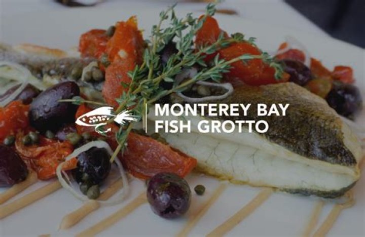 Fish Grotto Monterey: A Hidden Paradise for Marine Enthusiasts