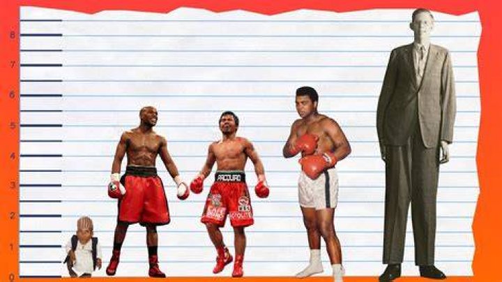 Floyd Mayweather Jr Height and Weight: A Comprehensive Analysis