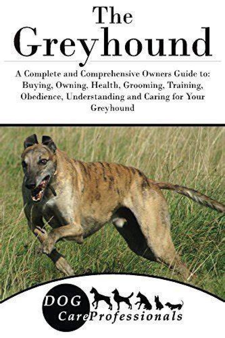Greyhound: The Ultimate Guide to Understanding and Owning This Majestic Breed