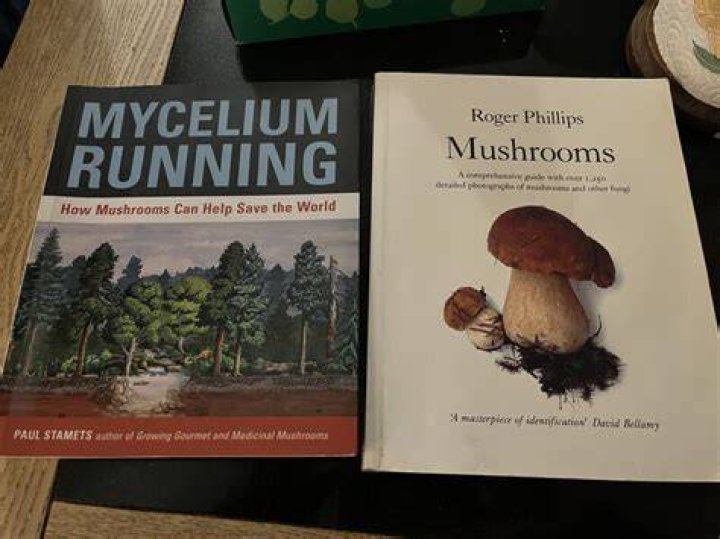 Griffin Mush: A Comprehensive Guide to Understanding and Exploring the World of Mushrooms