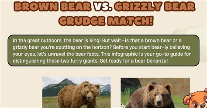 Grizzly or Brown Bear: Unveiling the Mysteries of These Majestic Creatures
