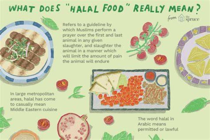 Halal Definition Food: Understanding the Principles and Practices